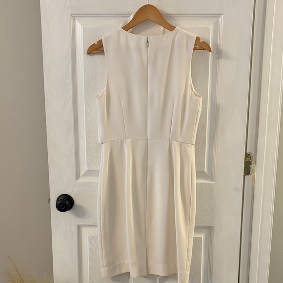 The Limited Sleeveless Ruffle Mini Dress - Picture 5 of 6